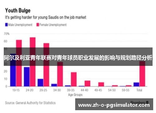 阿尔及利亚青年联赛对青年球员职业发展的影响与规划路径分析